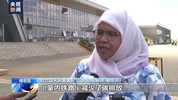 多国驻肯尼亚使节：蒙内铁路是绿色路 开放路 合作路