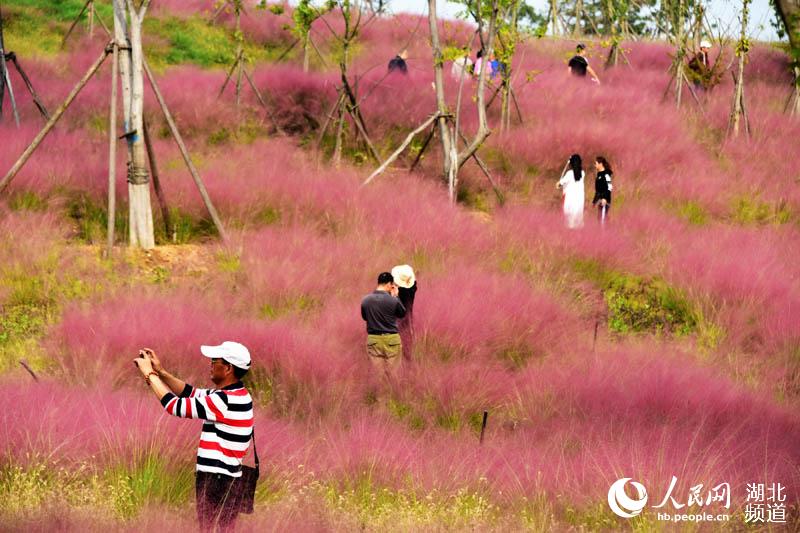 湖北十堰：水源區秋景獨好