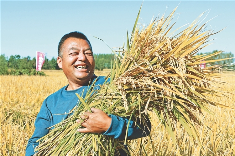 黑龙江省农作物已收获7627.9万 达三成以上