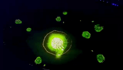 杭州亚运会闭幕式精彩瞬间揭秘