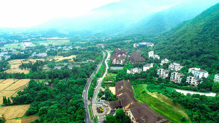 （轉載）大熊貓國家公園成立兩週年 綠色成為綿竹高品質發展的最亮底色