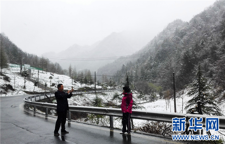 【大美荆楚·灵秀湖北】【焦点图】【神农架】湖北神农架降下“清明雪”