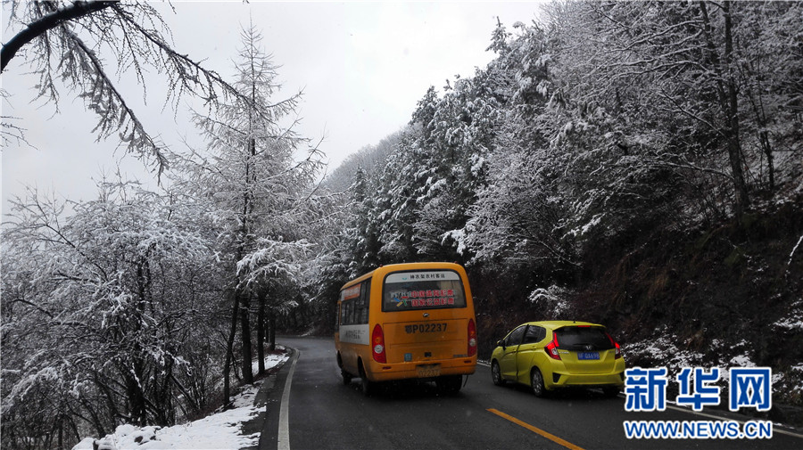 【大美荆楚·灵秀湖北】【焦点图】【神农架】湖北神农架降下“清明雪”