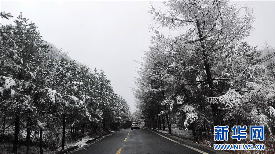 【大美荆楚·灵秀湖北】【焦点图】【神农架】湖北神农架降下“清明雪”