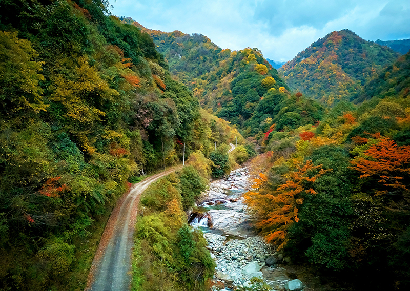 绵阳平武老河沟：彩林红叶正当时_fororder_深山秘境，秋景如画