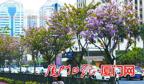 【要聞】【移動版 新聞列表】【滾動新聞】廈門清明假期吸引遊客超132萬人次 收入12.52億元