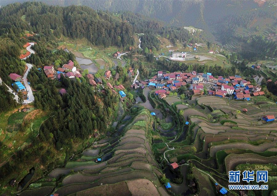 深山苗寨春色美