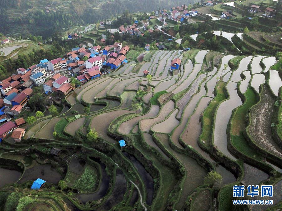 深山苗寨春色美