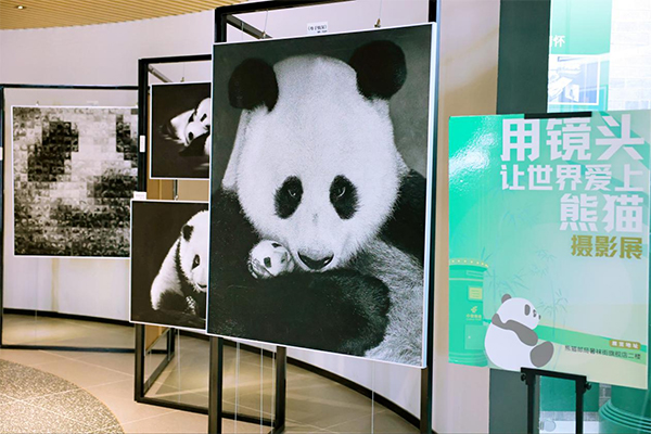 （转载）“拾光·邮你”！成都市邮政分公司开展庆祝“世界邮政日”暨“熊猫邮局成立10周年”活动_fororder_未标题-5