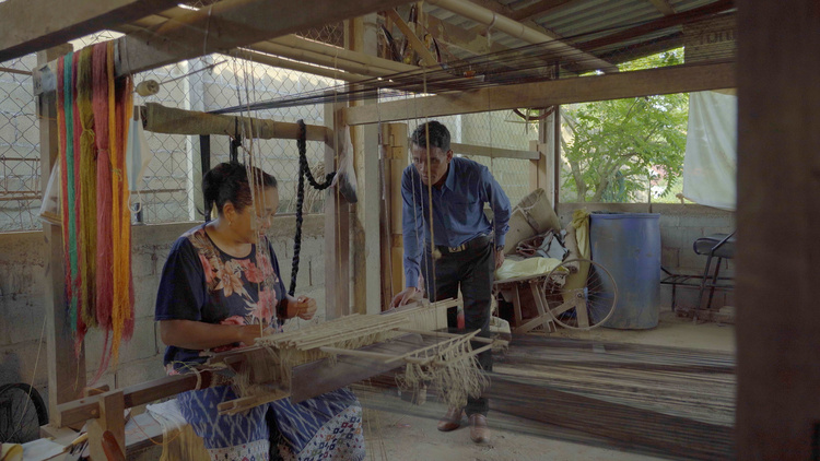 “精准扶贫”理念提出十周年 在世界多国落地生根 开花结果