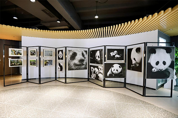 （转载）“拾光·邮你”！成都市邮政分公司开展庆祝“世界邮政日”暨“熊猫邮局成立10周年”活动_fororder_未标题-6