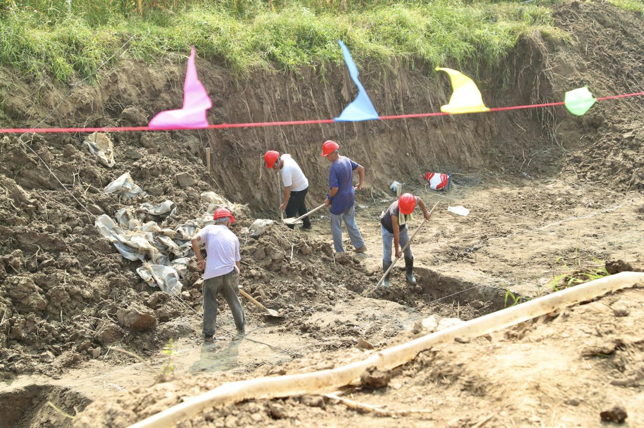 河北东光：推进高标准农田建设 夯实粮食安全根基_fororder_图片20