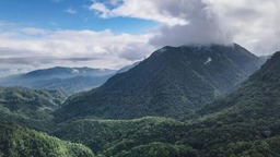 海南做好“山林得绿、群众得利”的生态文明答