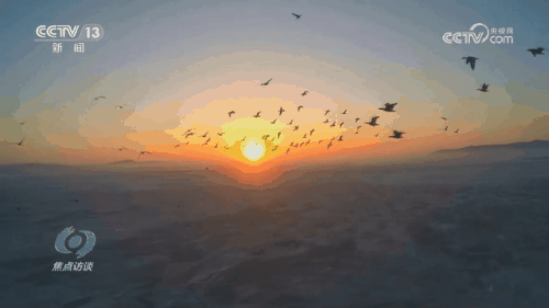 焦点访谈：思想的光辉 文化的力量