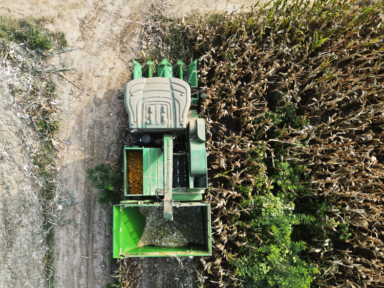 邢臺柏鄉：玉米秸稈 助農增收_fororder_微信圖片_20231010142332