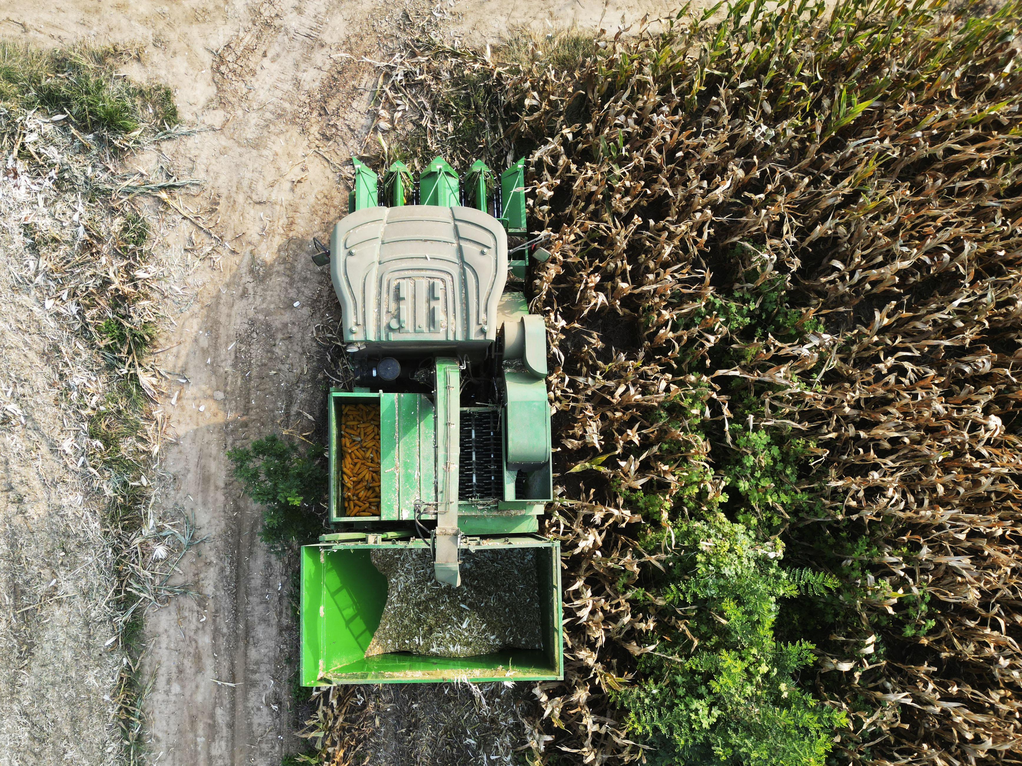 邢台柏乡：玉米秸秆 助农增收_fororder_微信图片_20231010142332