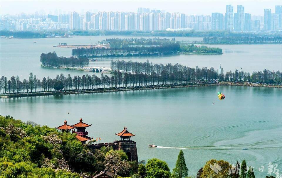 城市湿地保护与发展论坛在汉举办