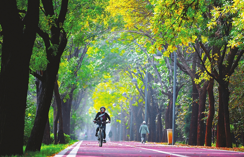 秋意浓_fororder_山西