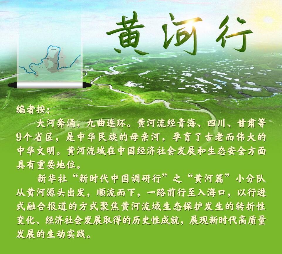 新时代中国调研行·黄河篇丨兰考的“泡桐之歌”