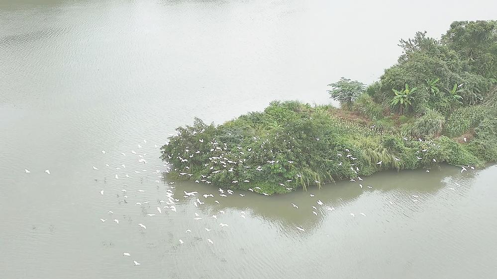 圖片默認標題_fororder_fb883460-e2ac-4f19-9bbe-8960d85be169