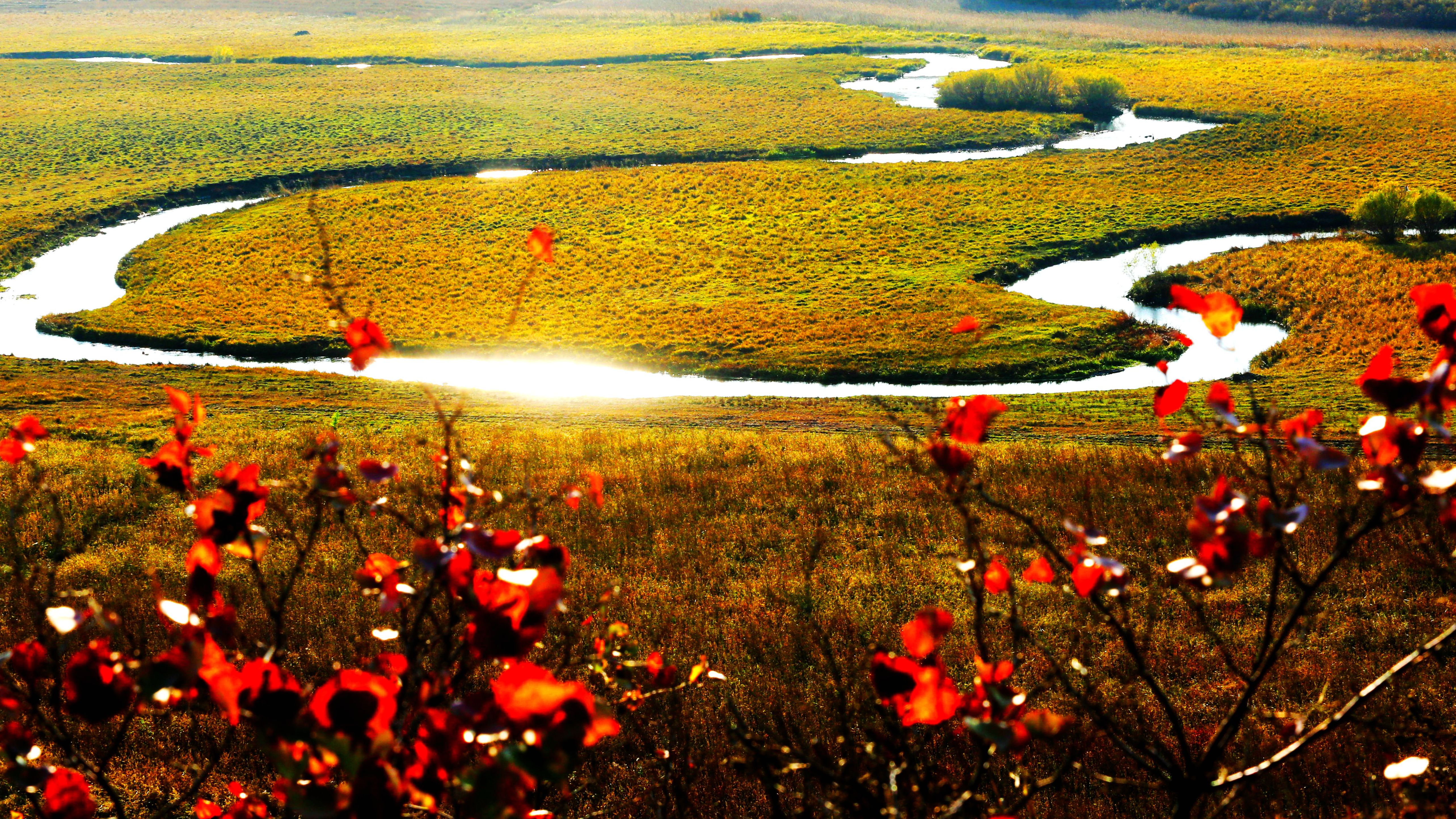 层林尽染 秋景如画_fororder_微信图片_20231012101830