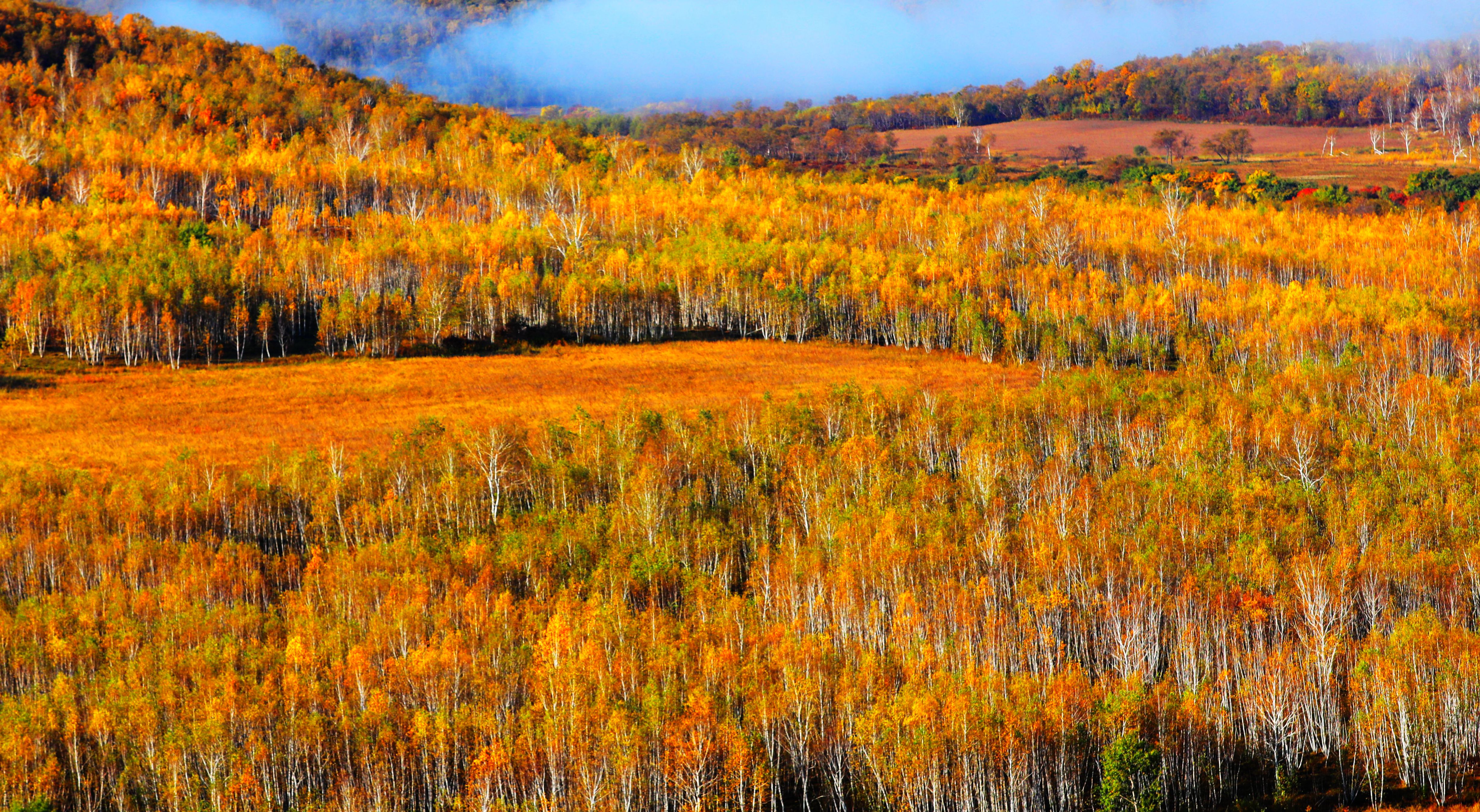 层林尽染 秋景如画_fororder_微信图片_20231012101824