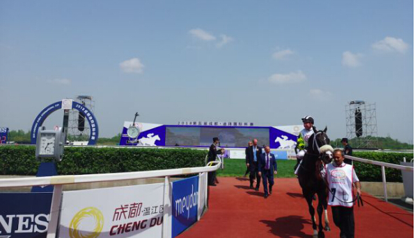 2018成都·迪拜国际杯赛五年之约圆满举办 速度赛马精彩比拼再战温江