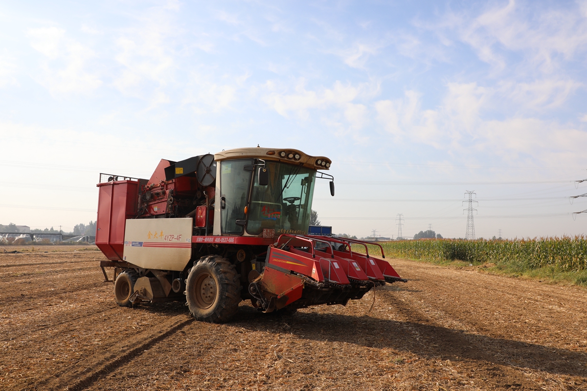 图片默认标题_fororder_大型玉米收割机在田间作业 摄影 高泽涛