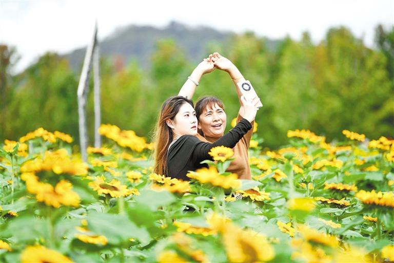 贵州兴义：游人徜徉花海_fororder_中首2