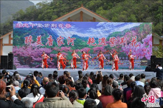 四川青川唐家河紫荆花现已绽放并开启赏花模式