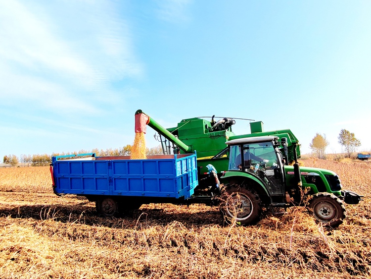 綏化：構建形成“産加銷”一體化新格局