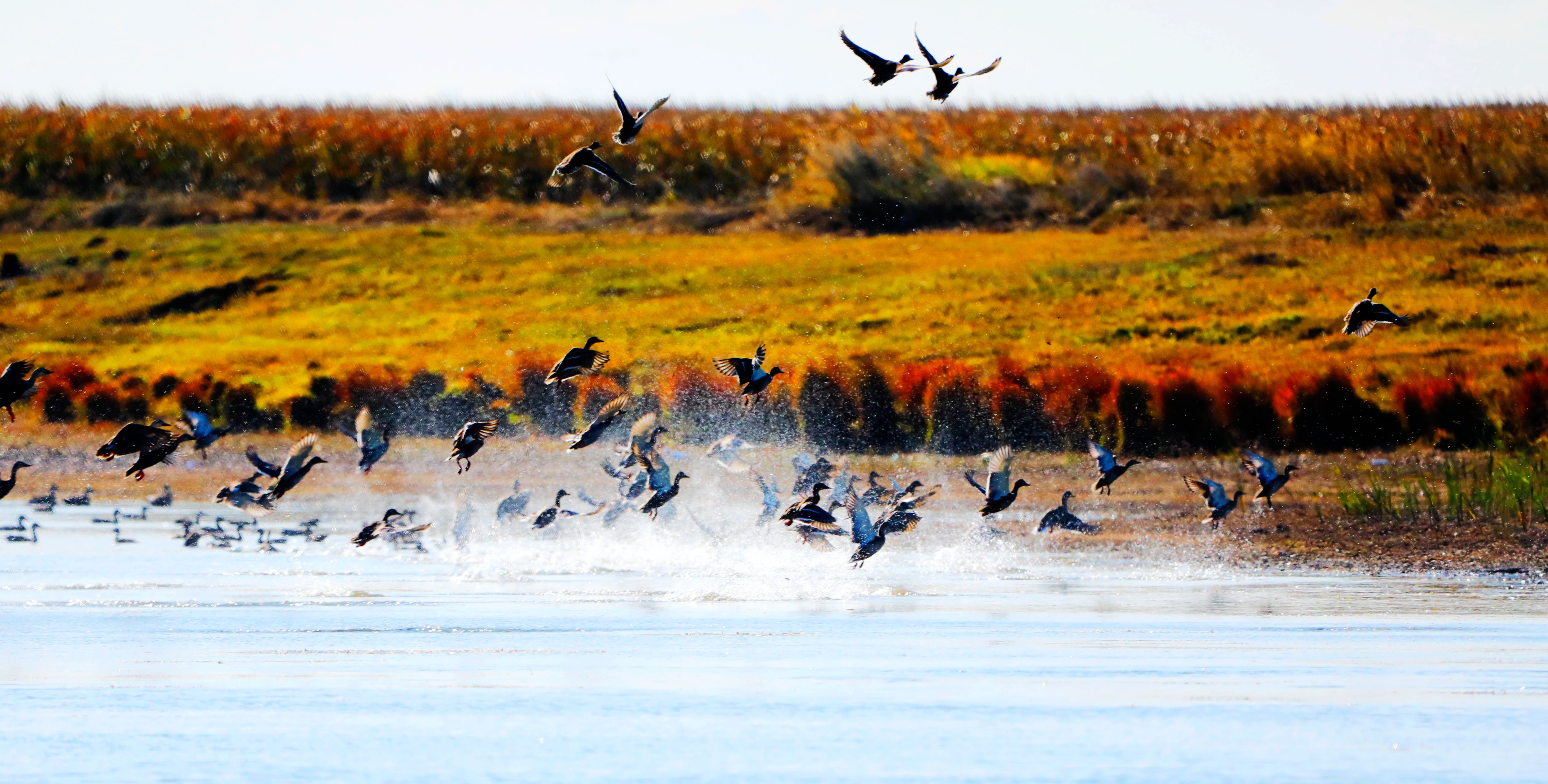 层林尽染 秋景如画_fororder_微信图片_20231012101915