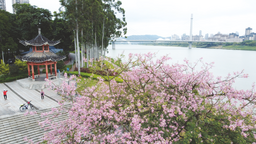 “環廣西”賽事期間 天氣仍涼還有雨