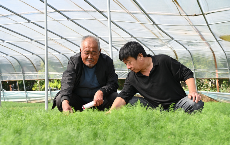 河北盐山：科技人员下乡开展“零距离”技术指导_fororder_图片46