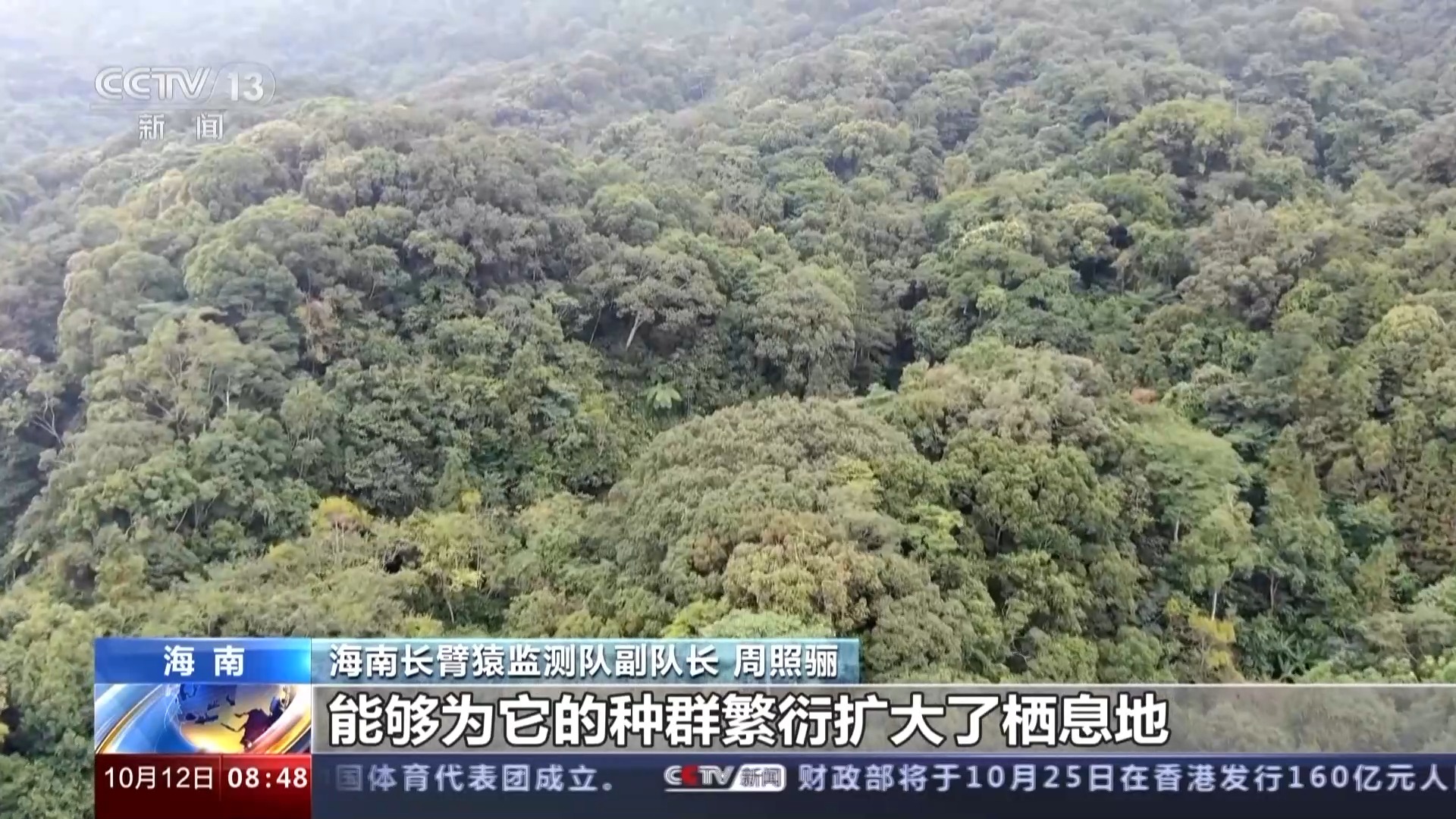 海南熱帶雨林國家公園：長臂猿種群數量穩步增長 中華穿山甲罕見亮相