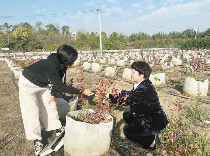 “蓝精灵 空谷幽兰 村咖” 勾勒乡村振兴新画卷_fororder_微信图片_20231108092759