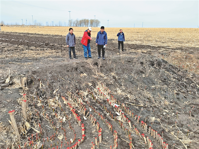 海倫:數字下田 農事上雲 高品質發展科技農業