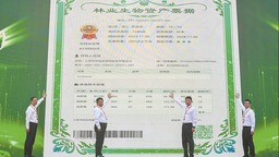 圖片默認標題