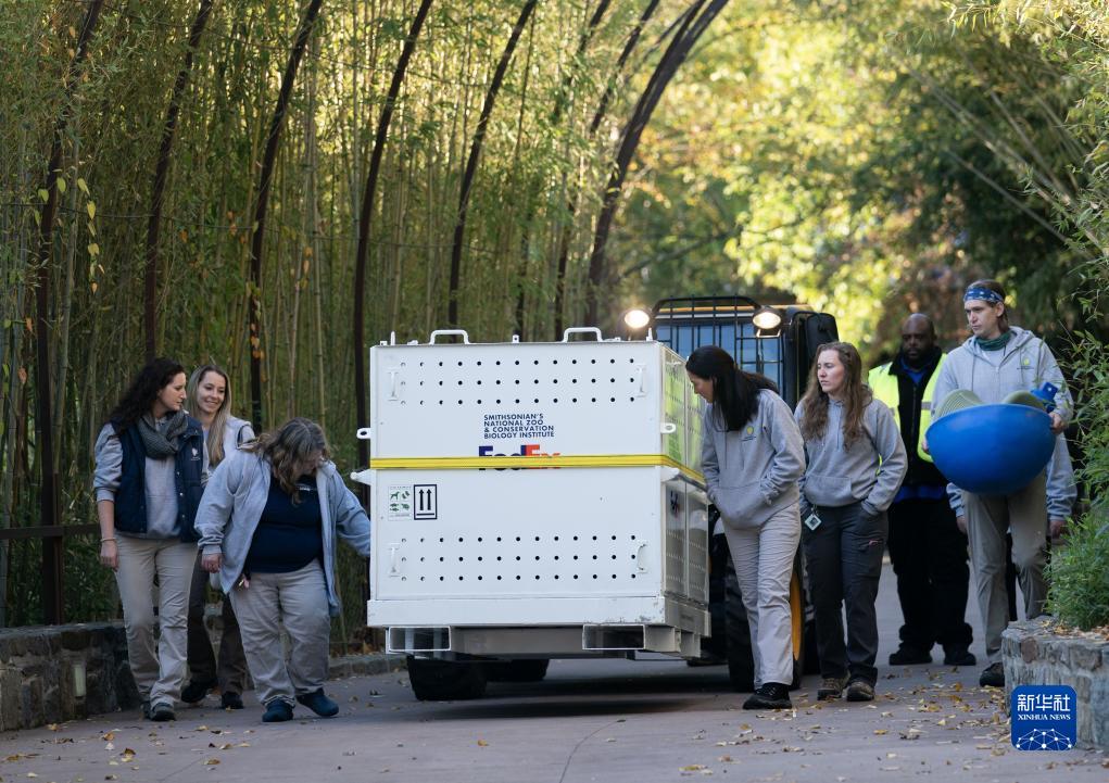 旅美大熊猫启程回国