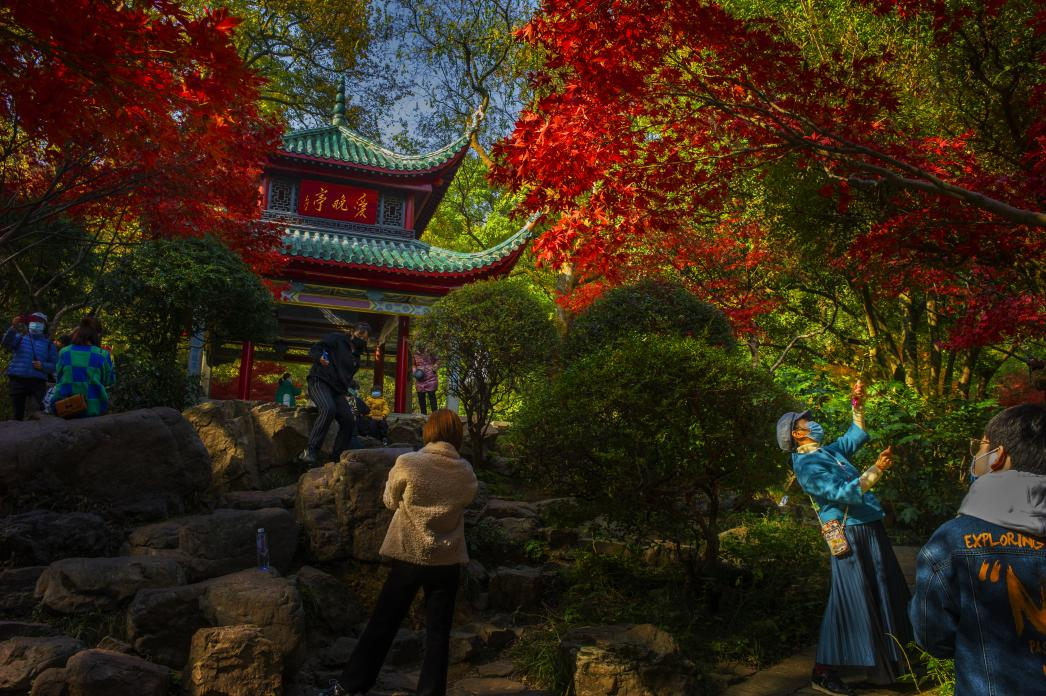 全域可爱、全季可游 湖南湘江新区向全球发出邀约