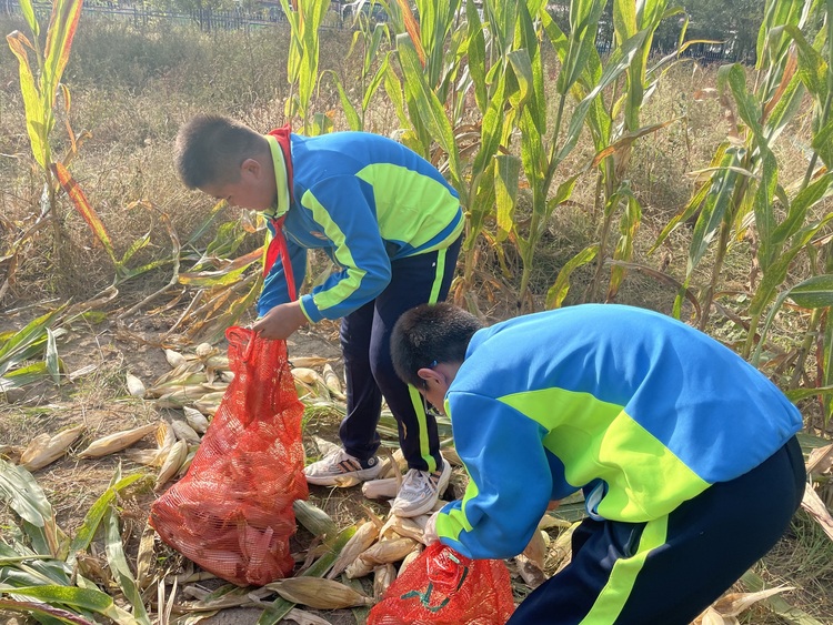 保定博野：开展劳动教育 赋能学生成长_fororder_1