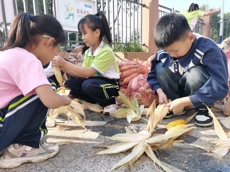 保定博野：开展劳动教育 赋能学生成长_fororder_5