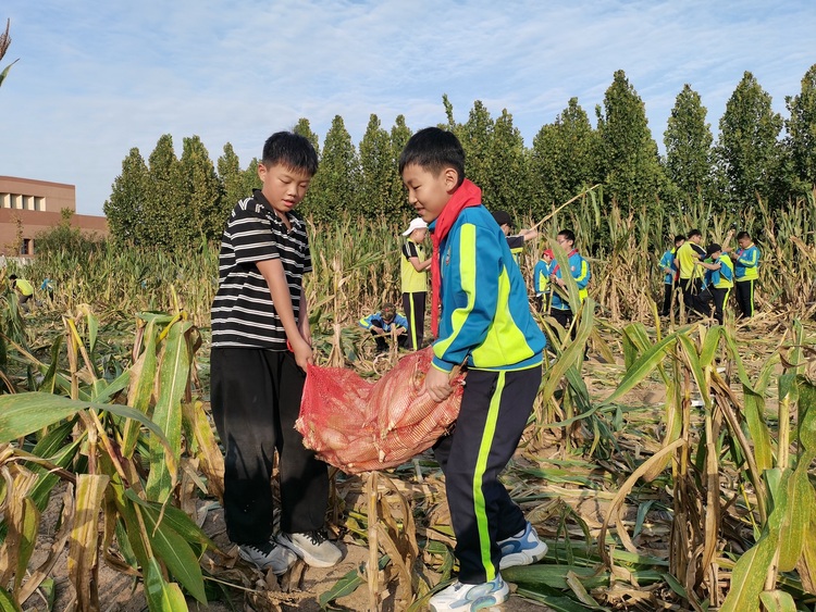 保定博野：开展劳动教育 赋能学生成长_fororder_2