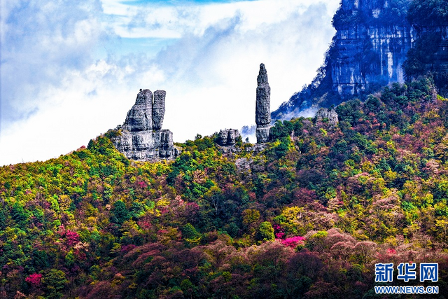 南川金佛山景区电话图片