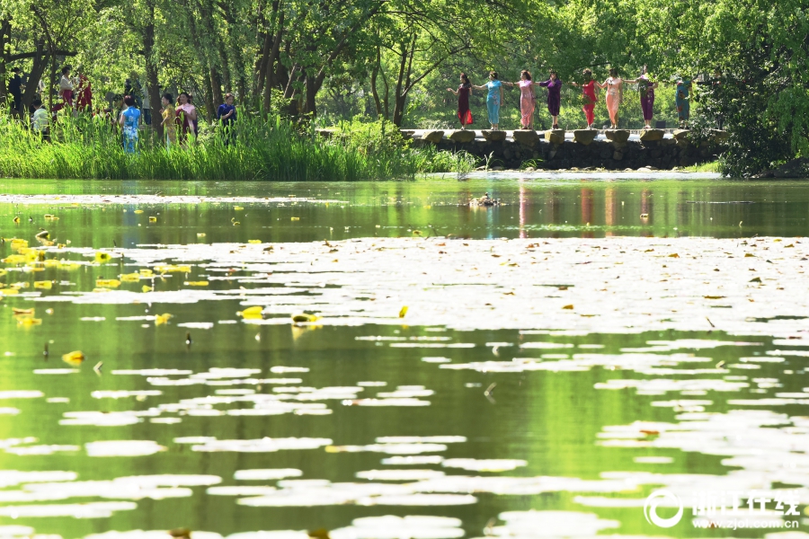 杭州：气温回升 恍如初夏