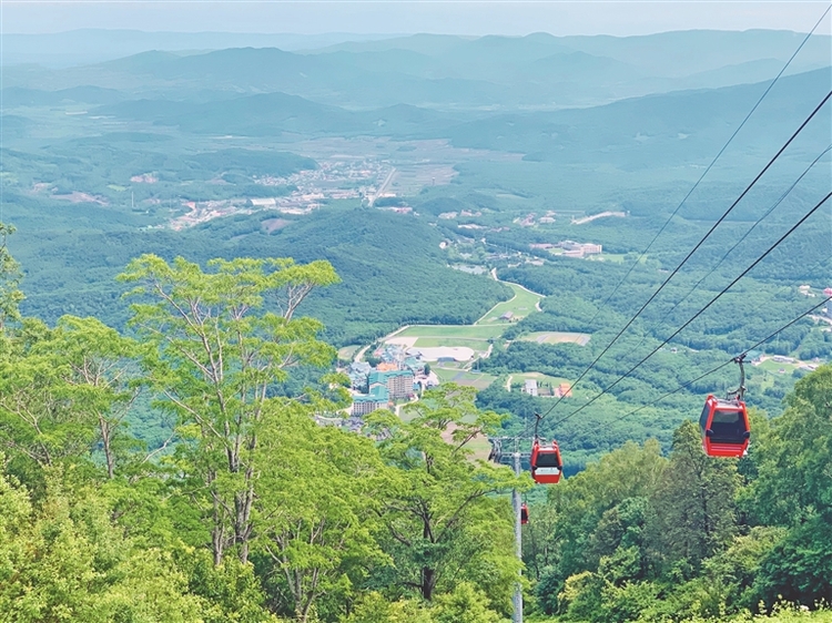 康養旅遊未來看好 龍江這樣打造新樣板