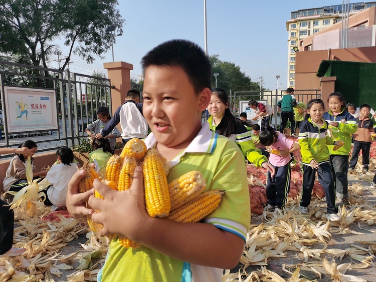 保定博野：开展劳动教育 赋能学生成长_fororder_4