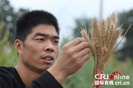 讓群眾多打糧食打出好糧食是他最大的心願 讓群眾多打糧食打出好糧食是他最大的心願