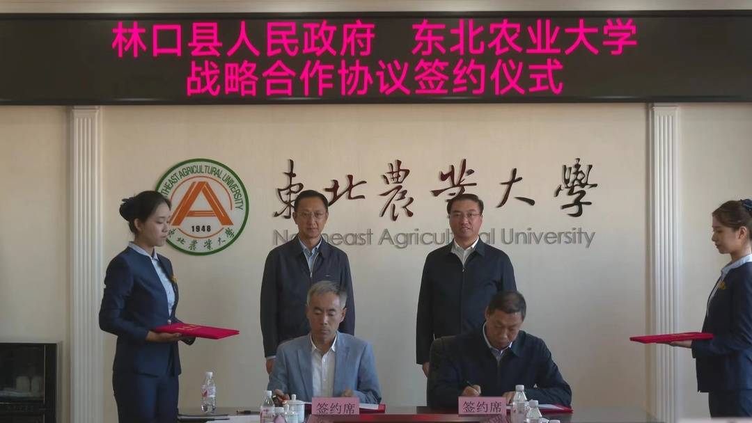 牡丹江林口:招商引資“四字決” 按下項目建設快進鍵