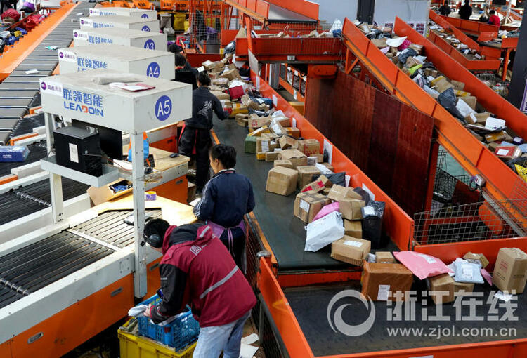 11月11日,在乐清市一家快递物流园,工作人员在流水线上忙碌.
